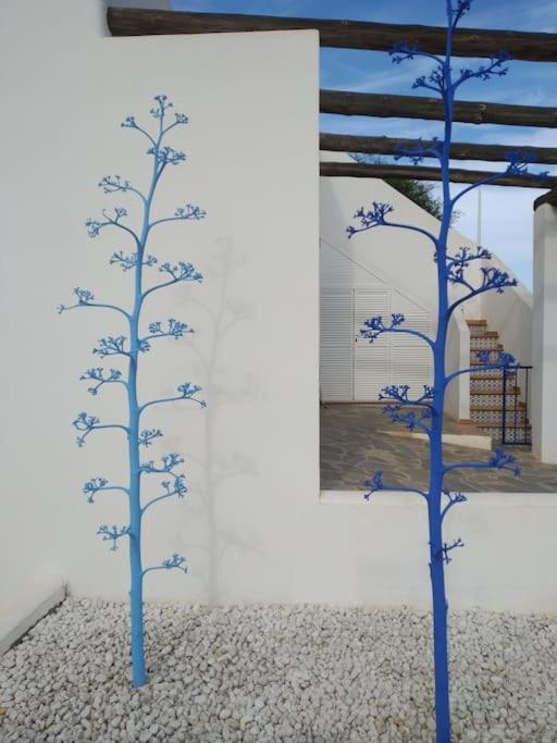 Casa de Férias Mirador La Pita Azul *