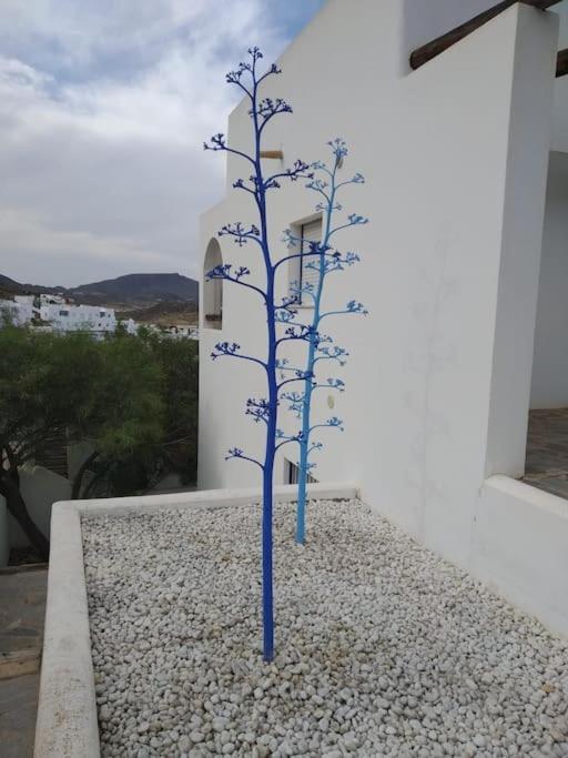 Mirador La Pita Azul